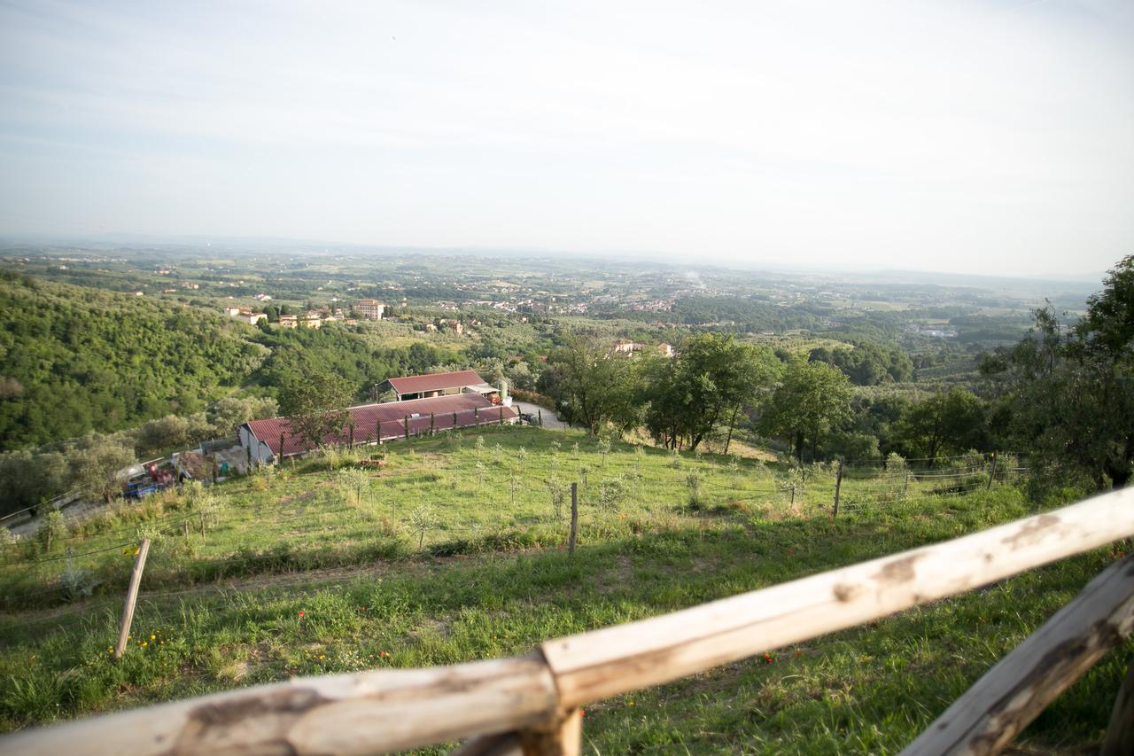 Bed and Breakfast La Dispensa-Bio Agriturismo Lamporecchio Exterior foto